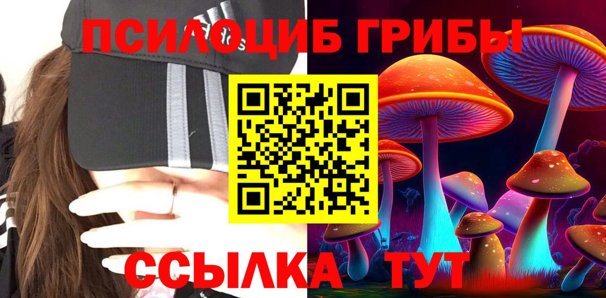 Галлюциногенные грибы GOLDEN TEACHER  Галлюциногенные грибы мицелий  Вход с VPN  Тихвин 